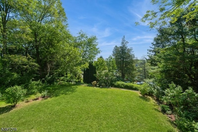 2 Hazelnut Dr, Hampton Twp, NJ 07860 - view of green lawn