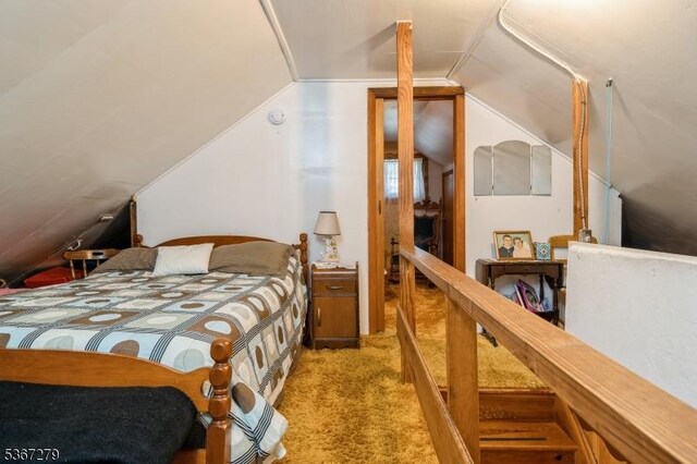 2 Hazelnut Dr, Hampton Twp, NJ 07860 - bedroom featuring light colored carpet and vaulted ceiling