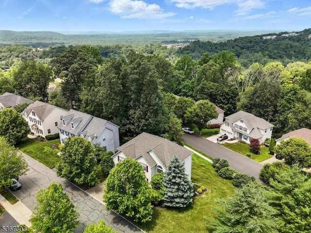 6 Bowers Dr, Allamuchy Twp, NJ 07840 - aerial perspective of suburban area featuring a forest