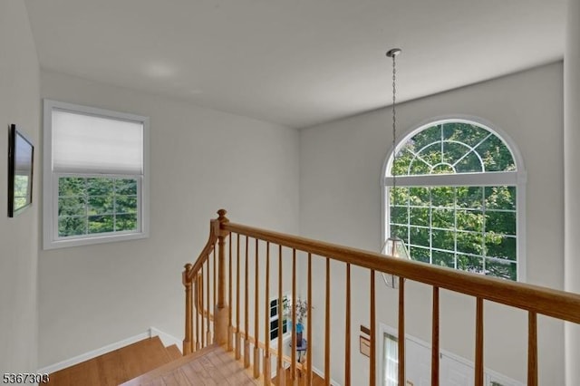 6 Bowers Dr, Allamuchy Twp, NJ 07840 - stairs featuring wood finished floors and baseboards
