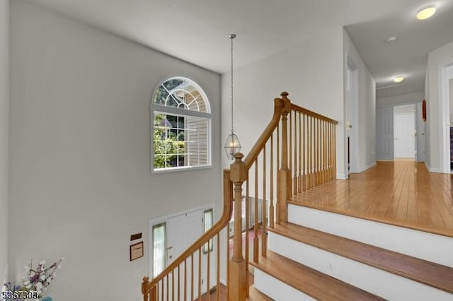 6 Bowers Dr, Allamuchy Twp, NJ 07840 - stairs with hardwood / wood-style flooring