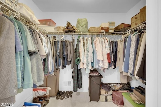 6 Bowers Dr, Allamuchy Twp, NJ 07840 - view of walk in closet