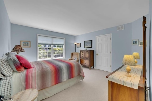 6 Bowers Dr, Allamuchy Twp, NJ 07840 - bedroom featuring light colored carpet