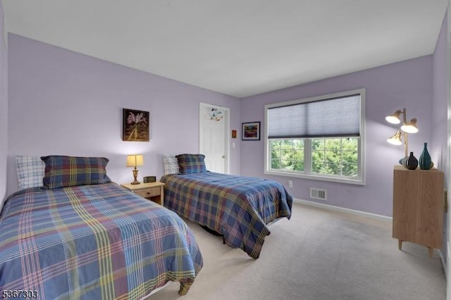 6 Bowers Dr, Allamuchy Twp, NJ 07840 - bedroom with baseboards and carpet floors
