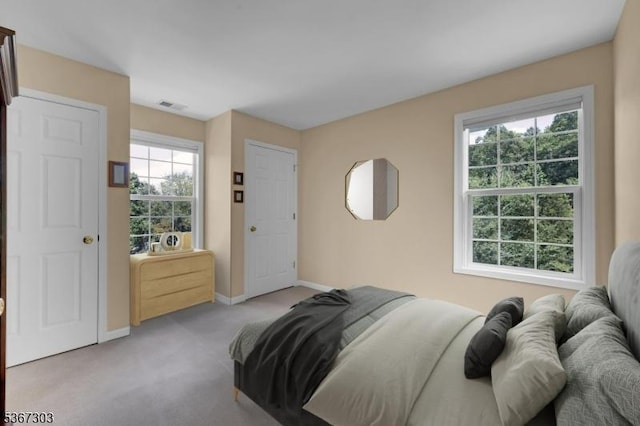 6 Bowers Dr, Allamuchy Twp, NJ 07840 - bedroom featuring light carpet and baseboards