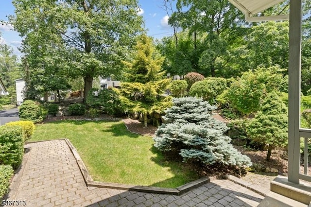 129 W Lake Shore Dr, Rockaway Twp, NJ 07866 - view of green lawn