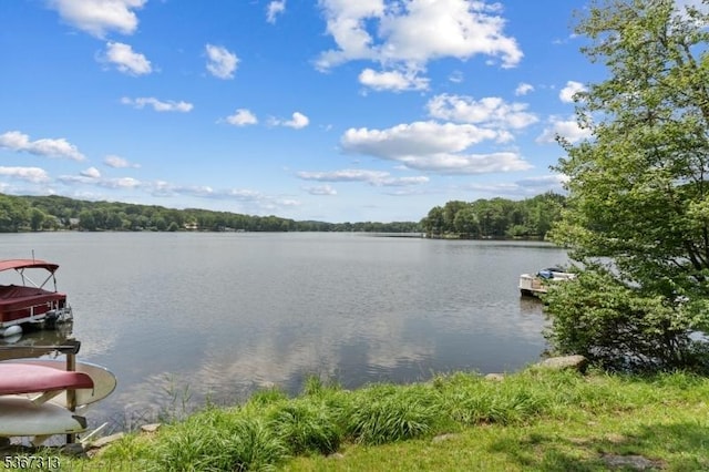 129 W Lake Shore Dr, Rockaway Twp, NJ 07866 - water view featuring a forest