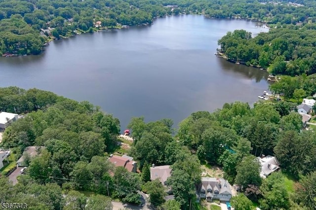 129 W Lake Shore Dr, Rockaway Twp, NJ 07866 - bird's eye view of a large body of water and a heavily wooded area