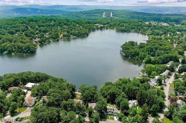 129 W Lake Shore Dr, Rockaway Twp, NJ 07866 - aerial view of a heavily wooded area and a large body of water