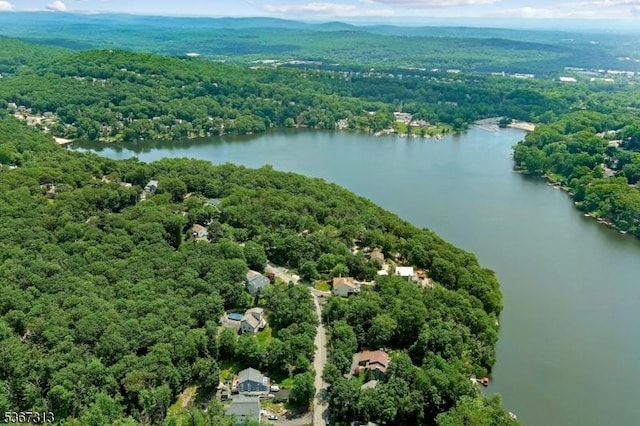 129 W Lake Shore Dr, Rockaway Twp, NJ 07866 - bird's eye view of a forest and a nearby body of water