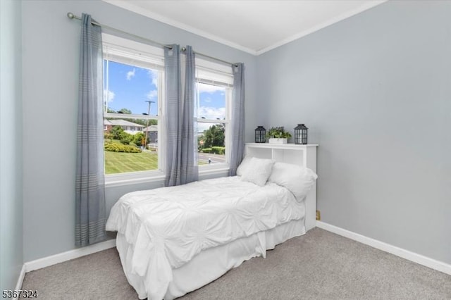 7 Park Ave, Summit City, NJ 07901 - bedroom featuring carpet floors and ornamental molding