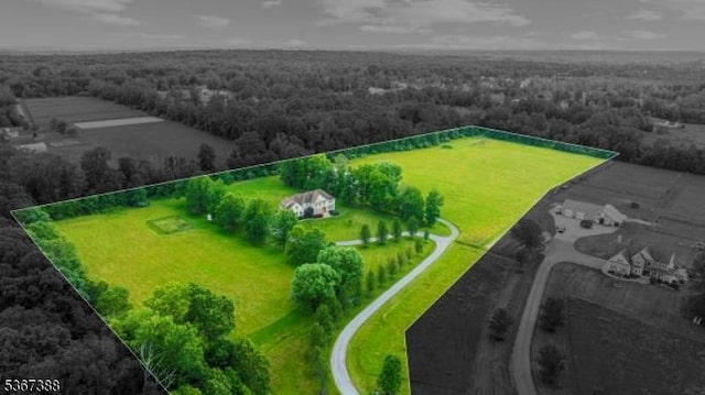 3 Stanbury Ln, Kingwood Twp, NJ 08825 - aerial view of property and surrounding area featuring property parcel outlined and a forest