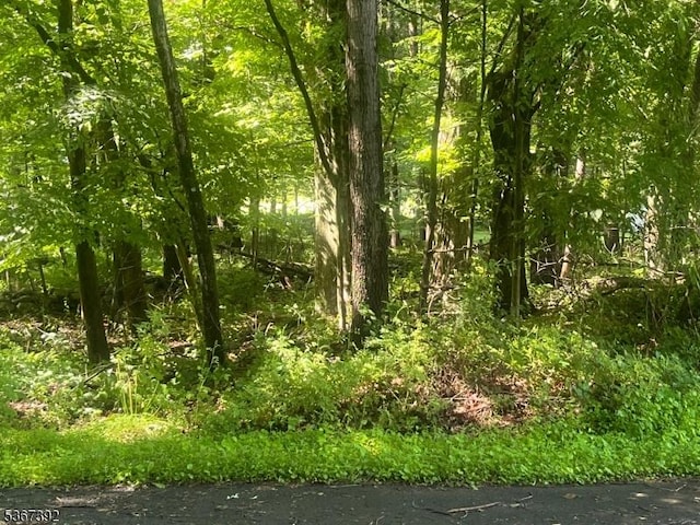116 N Ct, Montague Twp, NJ 07827