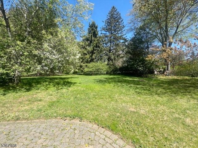 11 Dean Rd, Mendham Boro, NJ 07945 - view of grassy yard