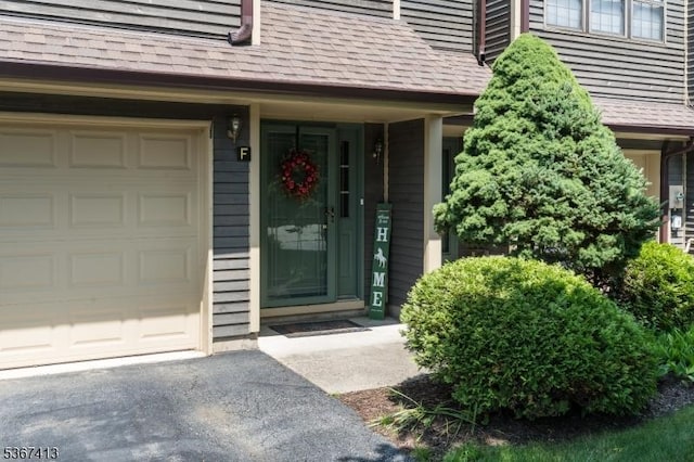 29F Concord Rd Unit F, West Milford Twp, NJ 07480 - view of exterior entry with a garage, roof with shingles, and driveway