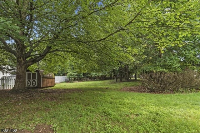 917 Tompkins Ave, South Plainfield Boro, NJ 07080 - view of yard featuring a shed