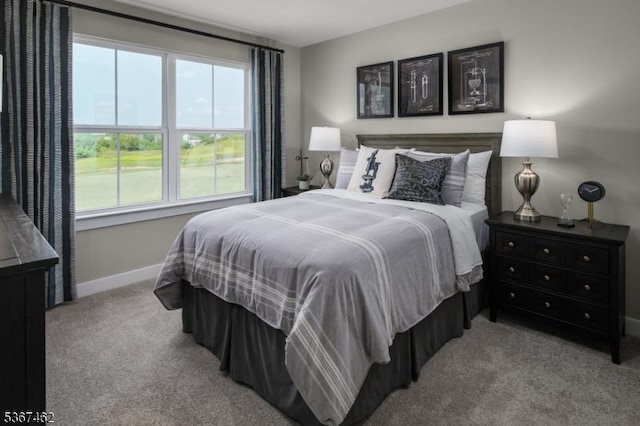 7 Glacier Way, Union Twp, NJ 08867 - bedroom featuring carpet flooring and multiple windows