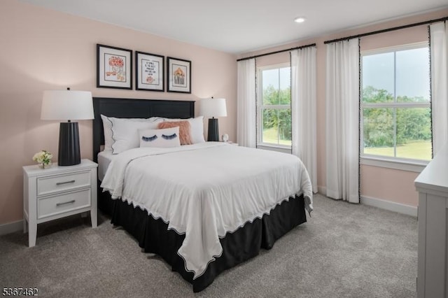 7 Glacier Way, Union Twp, NJ 08867 - bedroom with light carpet and recessed lighting