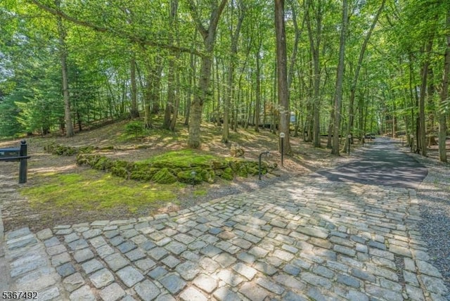 17 Glenwood Rd, Colts Neck Twp, NJ 07722 - view of property's community featuring a view of trees