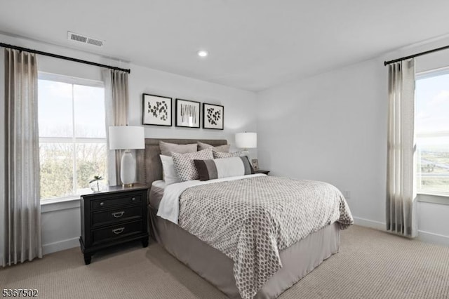 14 Glacier Way, Union Twp, NJ 08867 - bedroom featuring light carpet, multiple windows, and recessed lighting