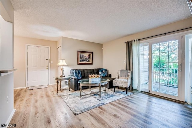113 Lindsey Ct, Franklin Twp, NJ 08823 - living room featuring a textured ceiling and light wood-style flooring