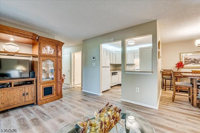 113 Lindsey Ct, Franklin Twp, NJ 08823 - living area featuring a textured ceiling and light wood finished floors