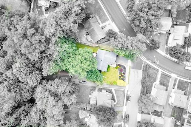 4 Parkway E, Caldwell Boro Twp, NJ 07006 - aerial view