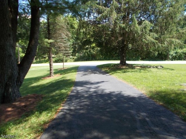 39 Stillwater Rd, Hardwick Twp, NJ 07825 - view of road with a forest view