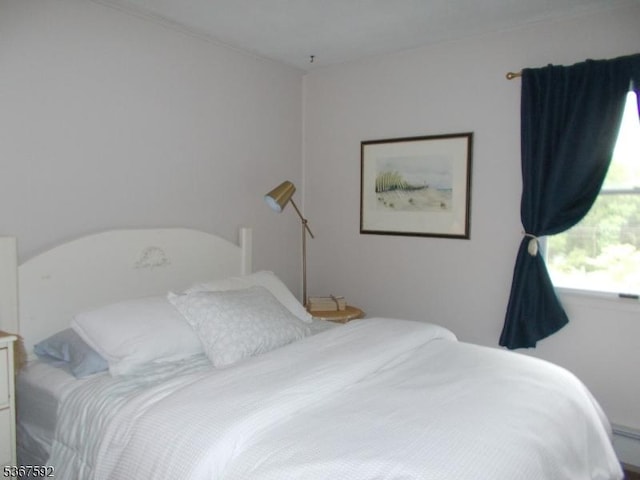 39 Stillwater Rd, Hardwick Twp, NJ 07825 - view of bedroom