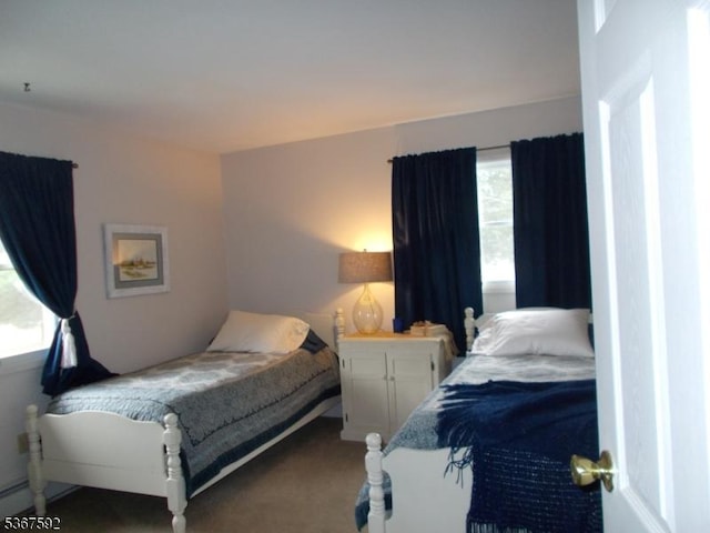 39 Stillwater Rd, Hardwick Twp, NJ 07825 - view of carpeted bedroom
