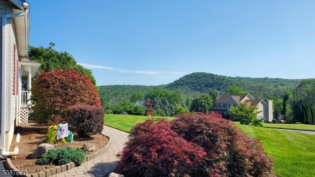 10 Links Ct, Sparta Twp, NJ 07871 - view of green lawn with a wooded view and a mountain view