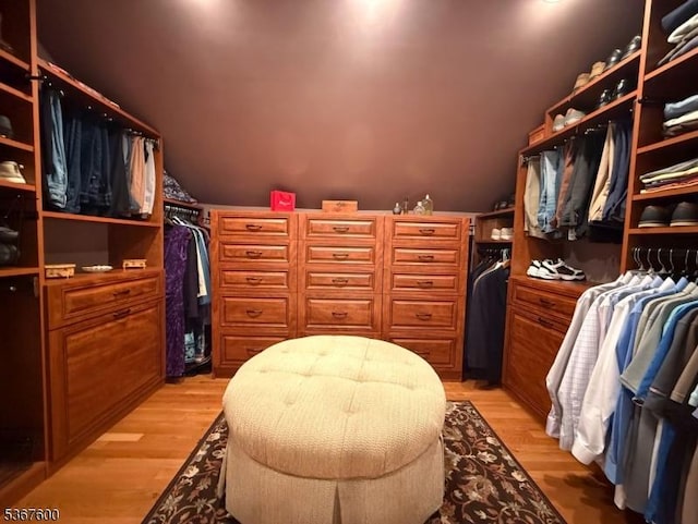 10 Links Ct, Sparta Twp, NJ 07871 - spacious closet featuring light wood finished floors and lofted ceiling