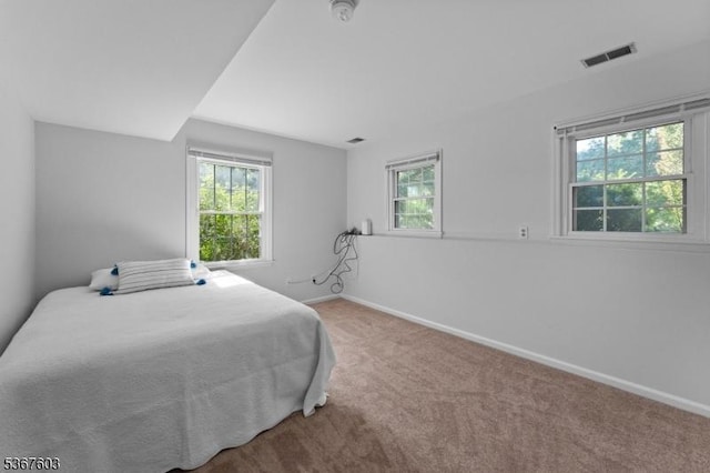 26 Ditmars Cir, Hillsborough Twp, NJ 08844 - carpeted bedroom featuring baseboards