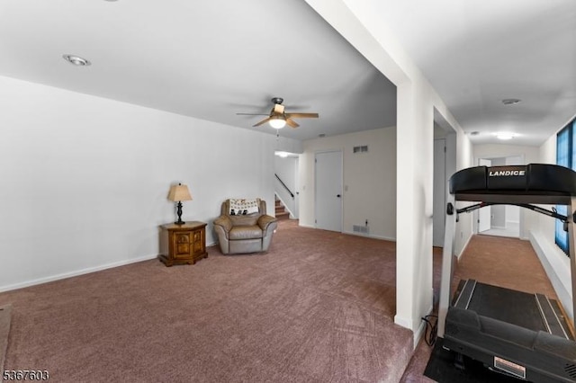 26 Ditmars Cir, Hillsborough Twp, NJ 08844 - workout room with carpet and a ceiling fan