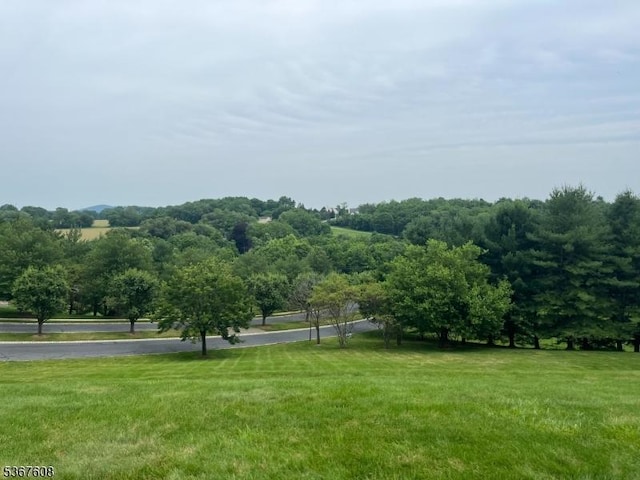 1002 Deerhaven Ter, Lopatcong Twp, NJ 08886 - view of home's community with a yard