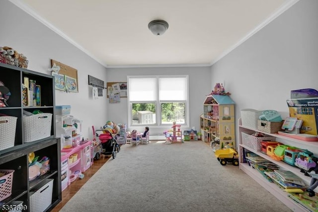 1508 County Rd 565, Vernon Twp, NJ 07461 - game room featuring ornamental molding