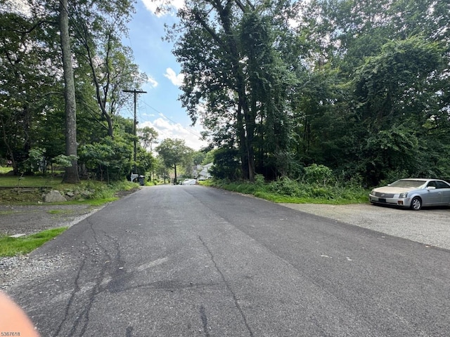 30 Terrence Ave, Jefferson Twp, NJ 07849 - view of asphalt road
