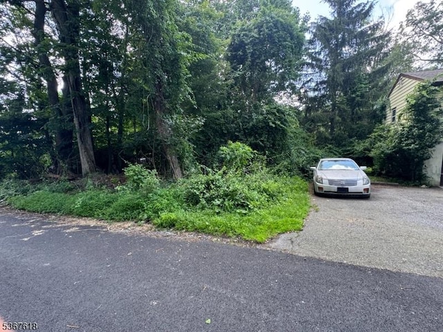 30 Terrence Ave, Jefferson Twp, NJ 07849 - view of asphalt road