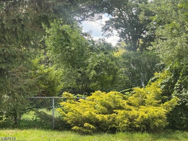 30 Terrence Ave, Jefferson Twp, NJ 07849 - view of yard featuring a view of trees