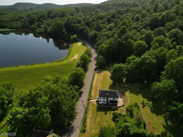 150 Buckley Ave, Oxford Twp, NJ 07863 - view from above of property with a nearby body of water and a heavily wooded area