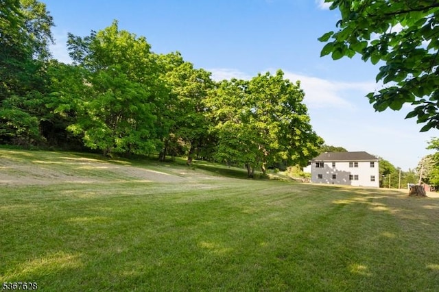 150 Buckley Ave, Oxford Twp, NJ 07863 - view of green lawn