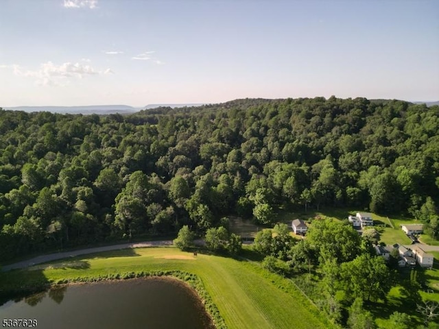 150 Buckley Ave, Oxford Twp, NJ 07863 - drone / aerial view of a large body of water and a heavily wooded area