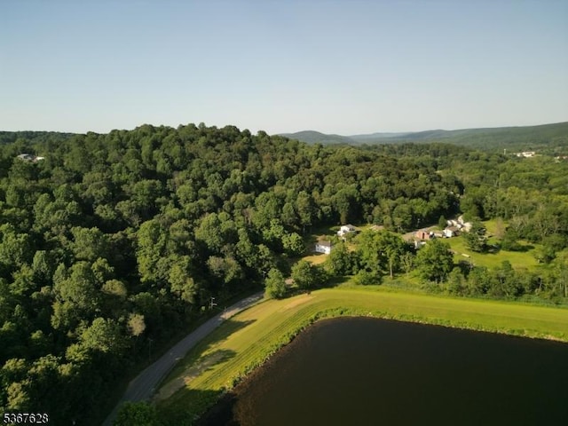 150 Buckley Ave, Oxford Twp, NJ 07863 - aerial overview of property's location featuring a forest and a nearby body of water