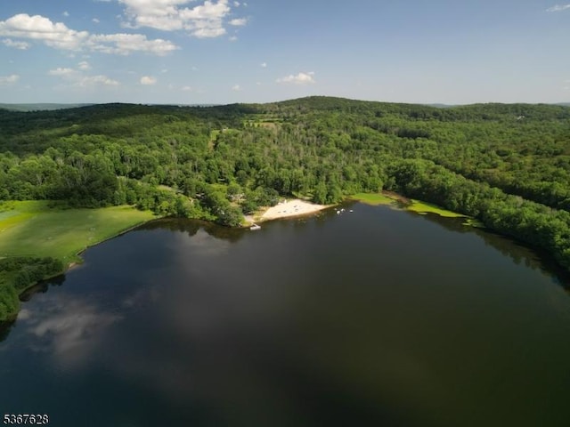 150 Buckley Ave, Oxford Twp, NJ 07863 - aerial view of a heavily wooded area and a nearby body of water