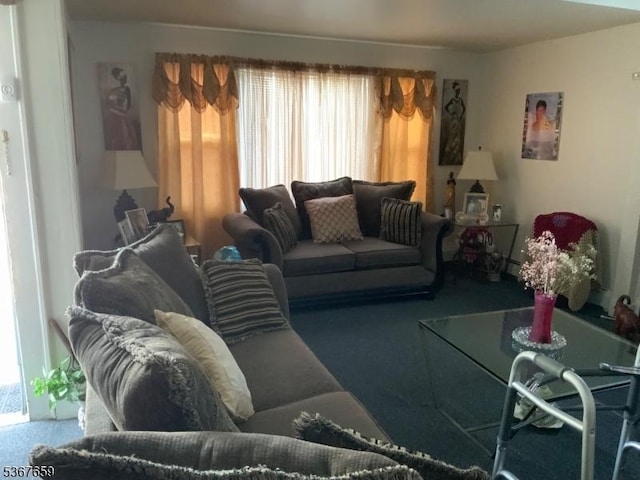 116 Mapes Ave Unit 3, Newark City, NJ 07112 - carpeted living room featuring plenty of natural light