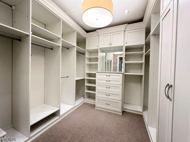 15 Poplar Ln, Chatham Twp, NJ 07928 - walk in closet featuring carpet floors