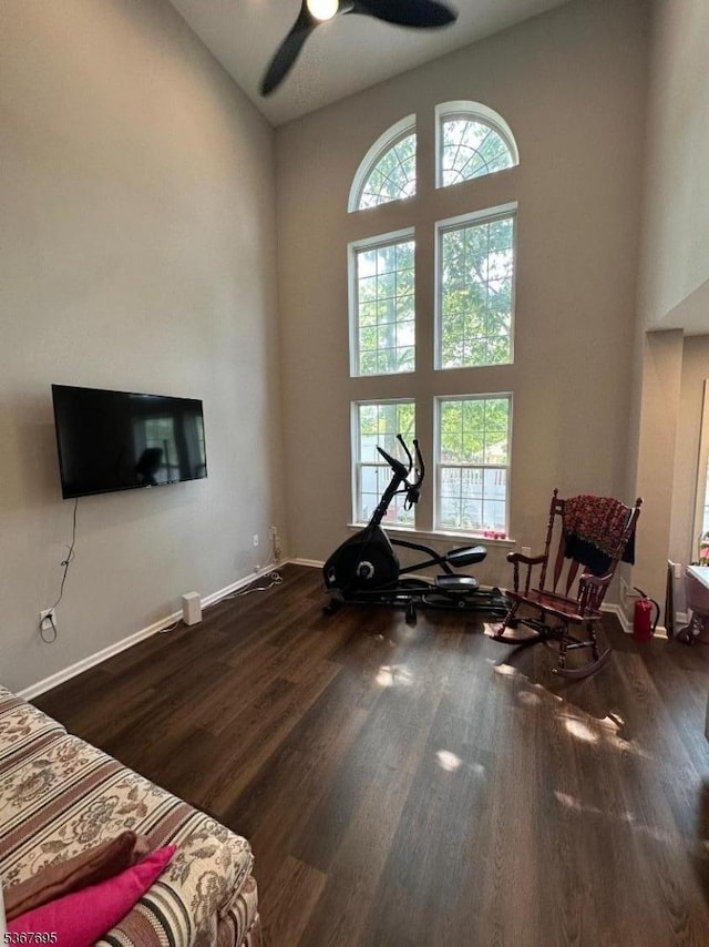 1002 Timberbrooke Dr, Bedminster Twp, NJ 07921 - exercise area with a towering ceiling, plenty of natural light, wood finished floors, and a ceiling fan