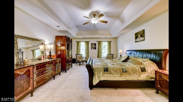 4 Lindsay Ln, Sparta Twp, NJ 07871 - bedroom featuring a tray ceiling, multiple windows, and light colored carpet