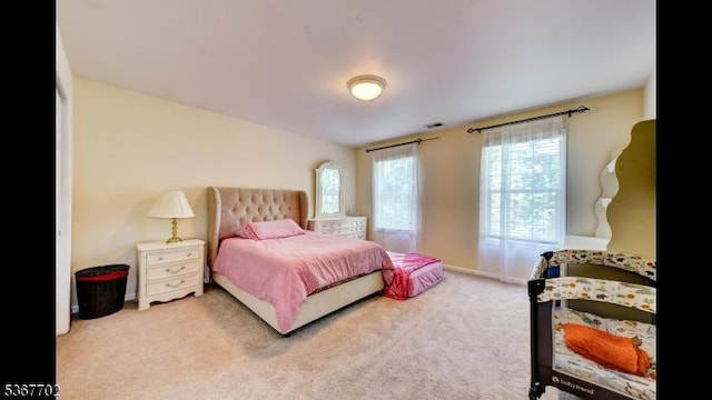 4 Lindsay Ln, Sparta Twp, NJ 07871 - bedroom featuring multiple windows and carpet flooring