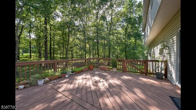 4 Lindsay Ln, Sparta Twp, NJ 07871 - view of deck